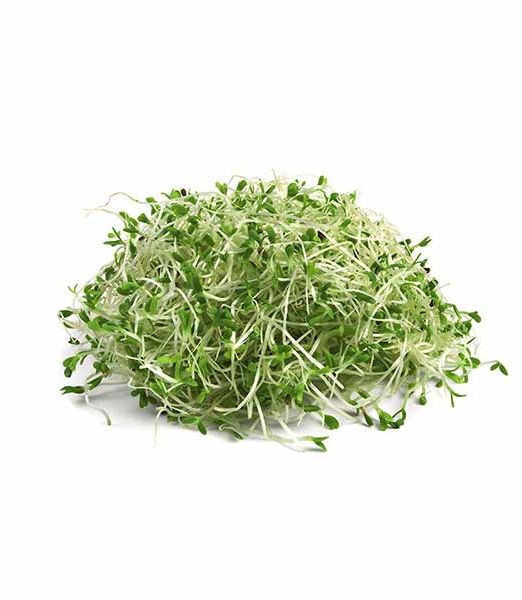 verduleria-el-unico-alfalfa